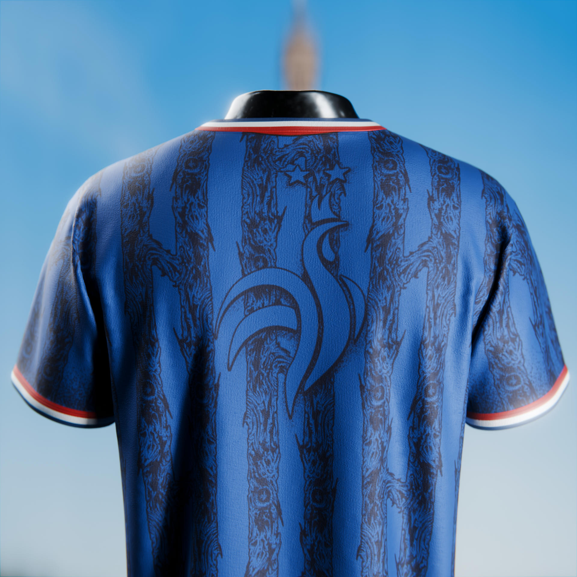 FRANCE JERSEY